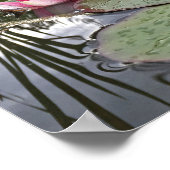 Pink Water Lilies & Reflections Foto Poster (Ecke)