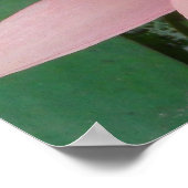 Pink Water Lilies Splendor Poster (Ecke)