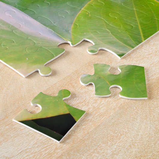 Pink Water Lilly, Lotus Blume Puzzle (Seite)