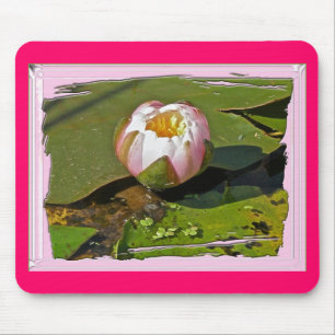 Pink Water-Lily Bud Mousepad
