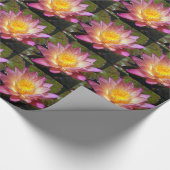 Pink Water Lily Foto Geschenkpapier (Ecke)
