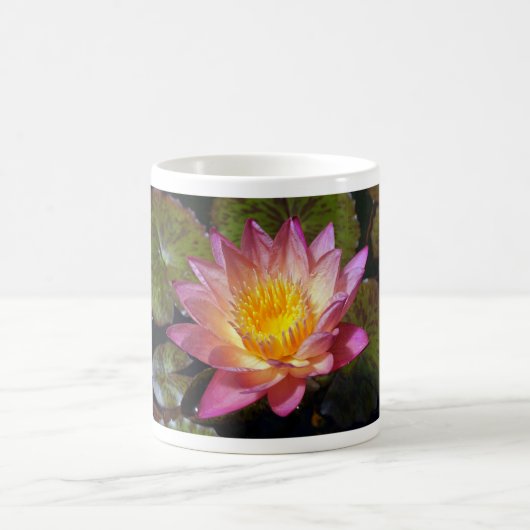 Pink Water Lily Foto Kaffeetasse (Mittel)