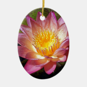 Pink Water Lily Foto Keramik Ornament