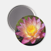 Pink Water Lily Foto Magnet (Vorderseite/Rückseite)