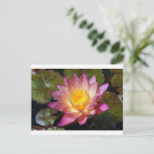 Pink Water Lily Foto Postkarte (Stehend Vorderseite)