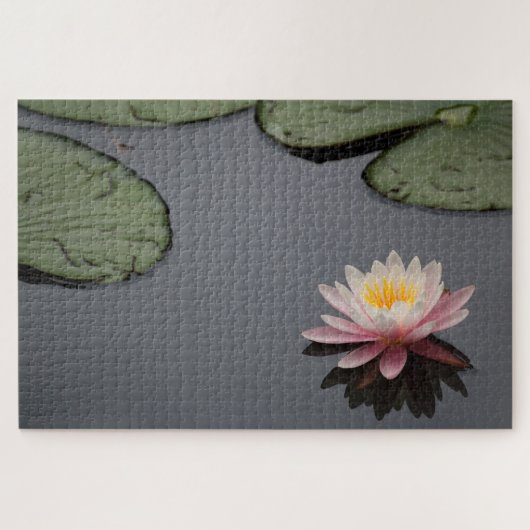 Pink Water Lily Foto Puzzle (Horizontal)
