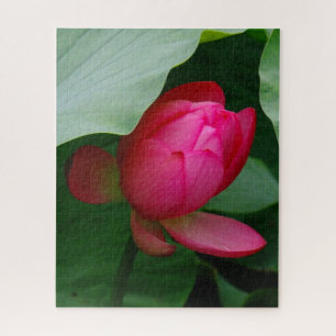 Pink Water Lily gegen die Blätter Puzzle