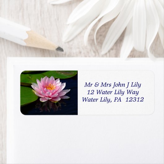 Pink Water Lily gibt das Adressetikett zurück (Insitu)