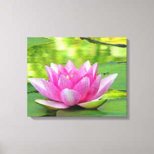 Pink Water Lily Lotus Blume auf grüner Leinwand