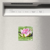 Pink Water Lily Magnet - Square (In Situ (Geschirrspüler))