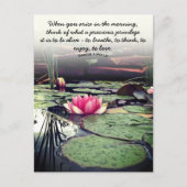 Pink Water Lily und Lily Pads Foto Personalisiert Postkarte (Vorderseite)