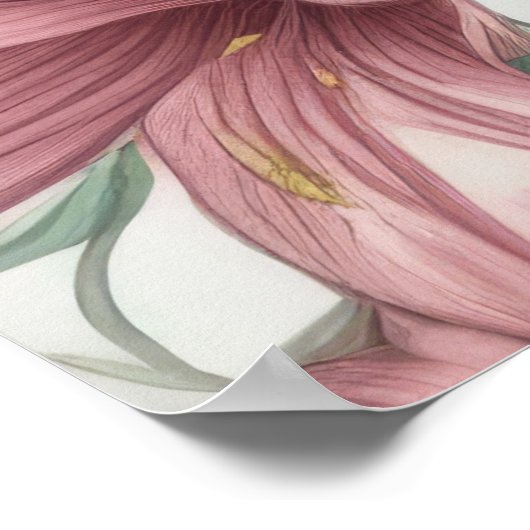 Pink Watercolor Lily Blume Poster (Ecke)