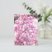 Pink Weeping Willow Tree Postcard Postkarte (Stehend Vorderseite)