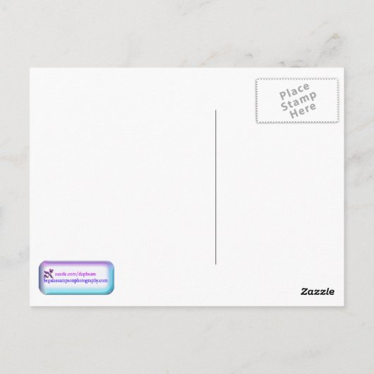 Pink Weeping Willow Tree Postcard Postkarte (Rückseite)