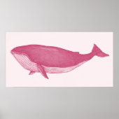 Pink Whale Poster (Vorne)