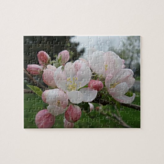 Pink White Blume Jigsaw Puzzle (Horizontal)