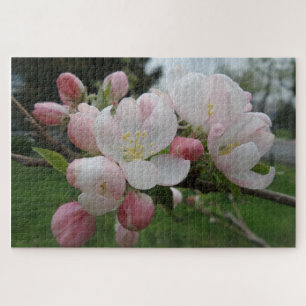 Pink & White Blume Jigsaw Puzzle