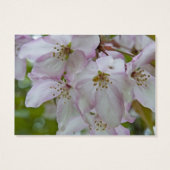 Pink White Crab Apple Blossom Hochzeitskarte für d (Rückseite)