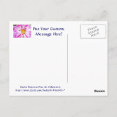 Pink White Dahlia Blume Postkarten Blumengarten (Rückseite)