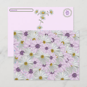 Pink & White Daisy Floral poppen Postkarte