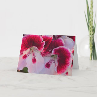 Pink & White Flowers Blank Notecard Karte