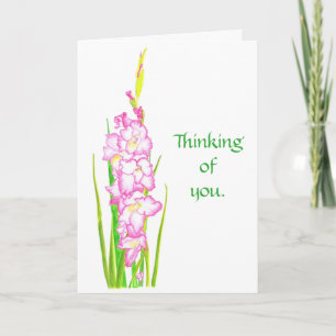 Pink White Gladiola Blume Denken Sie an Ihre Karte