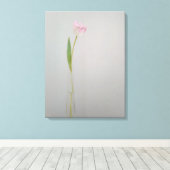 Pink White Tulip in Vase Leinwanddruck (Insitu (Holzboden))