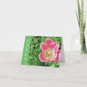 "PINK & WHITE TULIP with FRINGE / HELLO" Karte