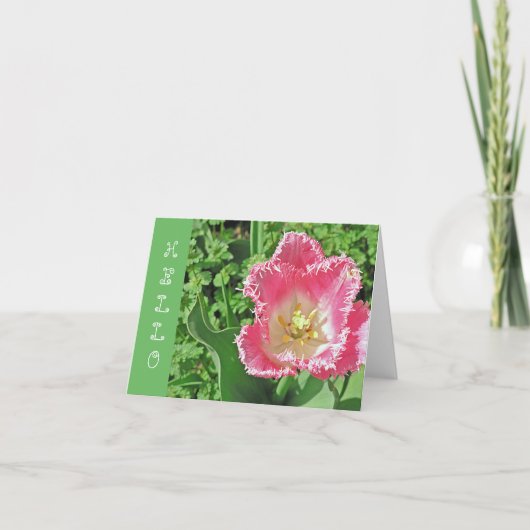 "PINK & WHITE TULIP with FRINGE / HELLO" Karte (Vorderseite)