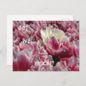 Pink White Tulips Muster bald gut erhalten Postcar Postkarte (Vorne/Hinten)