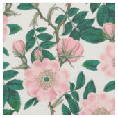 Pink Wild Rose Blume & Green Blätter Muster Stoff (Nahaufnahme)