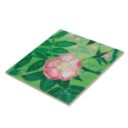 Pink Wild Rose Illustration Fliese (Seite)