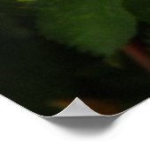 Pink Wilde Rose Blumenplakat Foto Poster (Ecke)