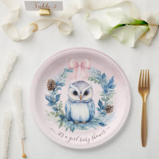 Pink Winter Baby Owl Watercolor Girl Baby Shower Pappteller