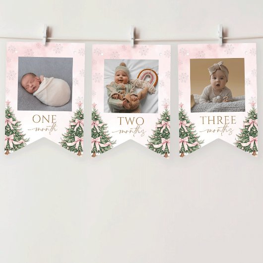 Pink Winter Onederland 1st Birthday Monthly Photo Wimpelkette