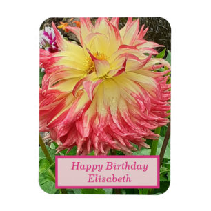 Pink & Yellow Dahlia Flexible Magnet