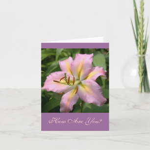 "PINK&YELLOW DAY LILY/WIE SIND SIE?" KARTE