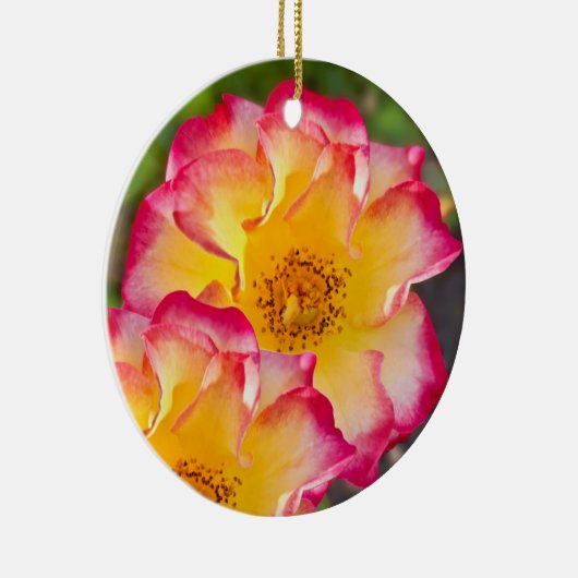 Pink Yellow Rose Keramik Ornament (Rechts)