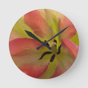 Pink & Yellow Tulip Runde Wanduhr