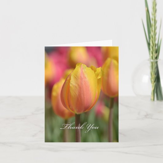 Pink/Yellow Tulips Dankeskarte (Vorderseite)