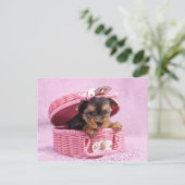 Pink Yorkie Postkarte (Stehend Vorderseite)