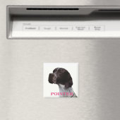 Pink-Zeigermagnet Magnet (In Situ (Geschirrspüler))