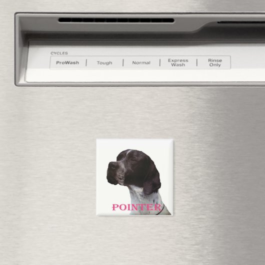 Pink-Zeigermagnet Magnet (In Situ (Geschirrspüler))