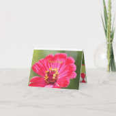 Pink-Zinnia-Blume Karte (Rückseite)