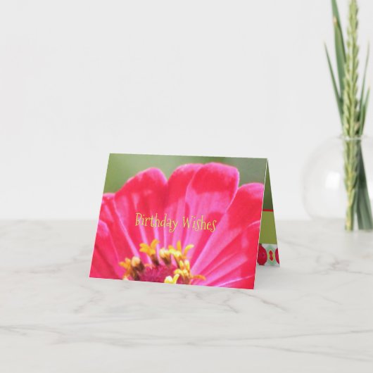 Pink-Zinnia-Blume Karte (Vorderseite)