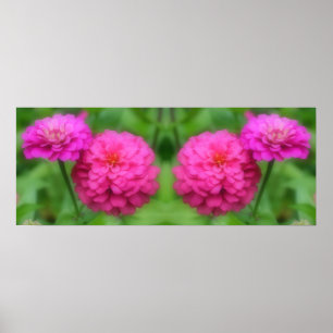 Pink Zinnia Blume Mirror Abstrakt Poster
