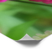 Pink Zinnia Blume Mirror Abstrakt Poster (Ecke)