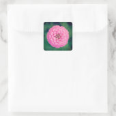 Pink Zinnia Blume Square Stickers (Tasche)
