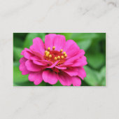Pink Zinnia Blume Visitenkarte (Rückseite)