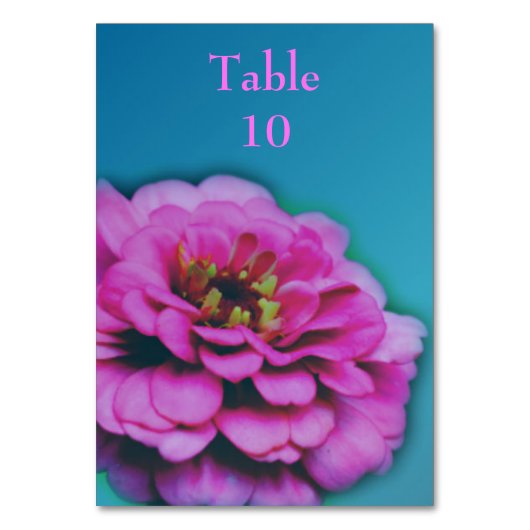 Pink Zinnia Blume Wedding Tischnummer (Vorderseite)